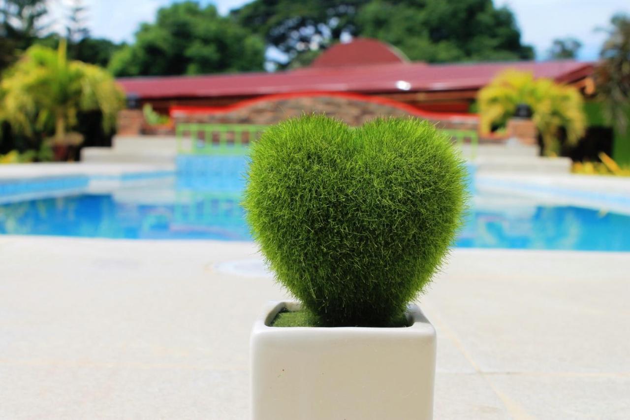Green Park Tourist Inn Puerto Princesa Luaran gambar